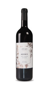 Wino Adonis Zweigelt